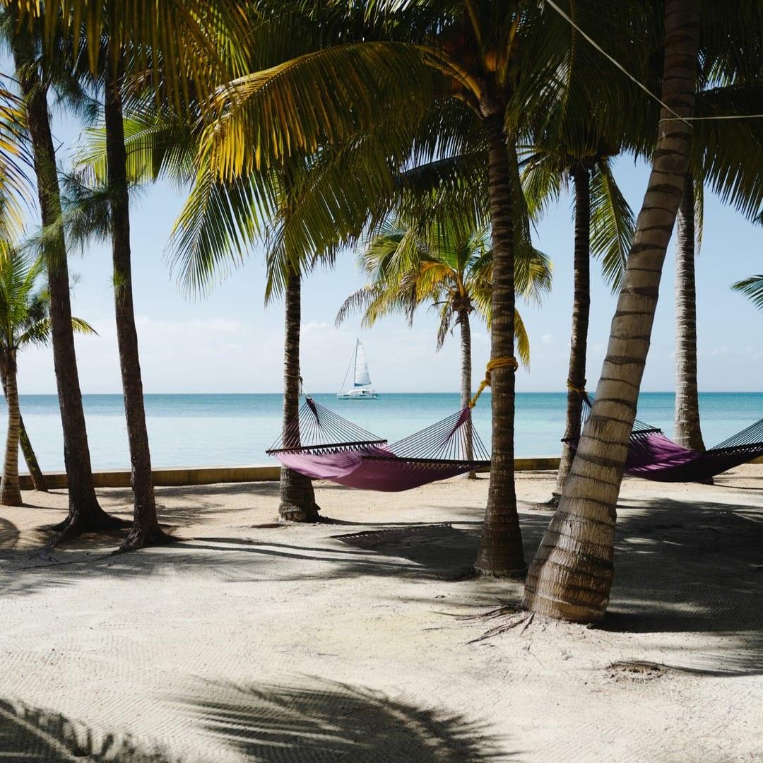 thatch-caye-hammocks