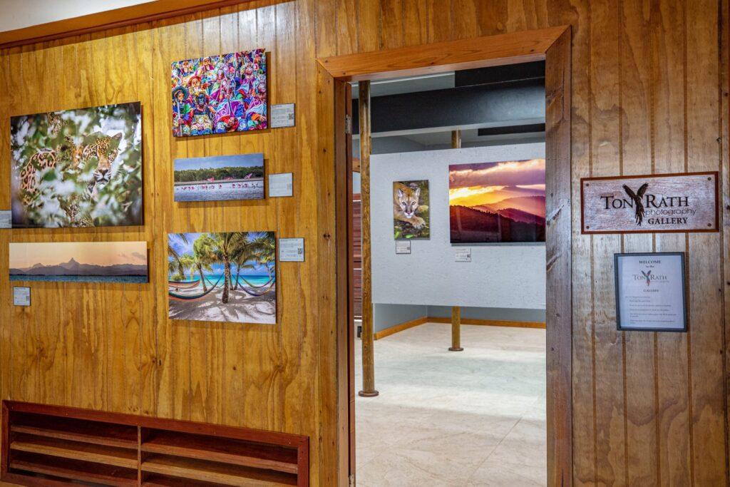 tony-rath-new-photo-gallery-pelican-beach-belize