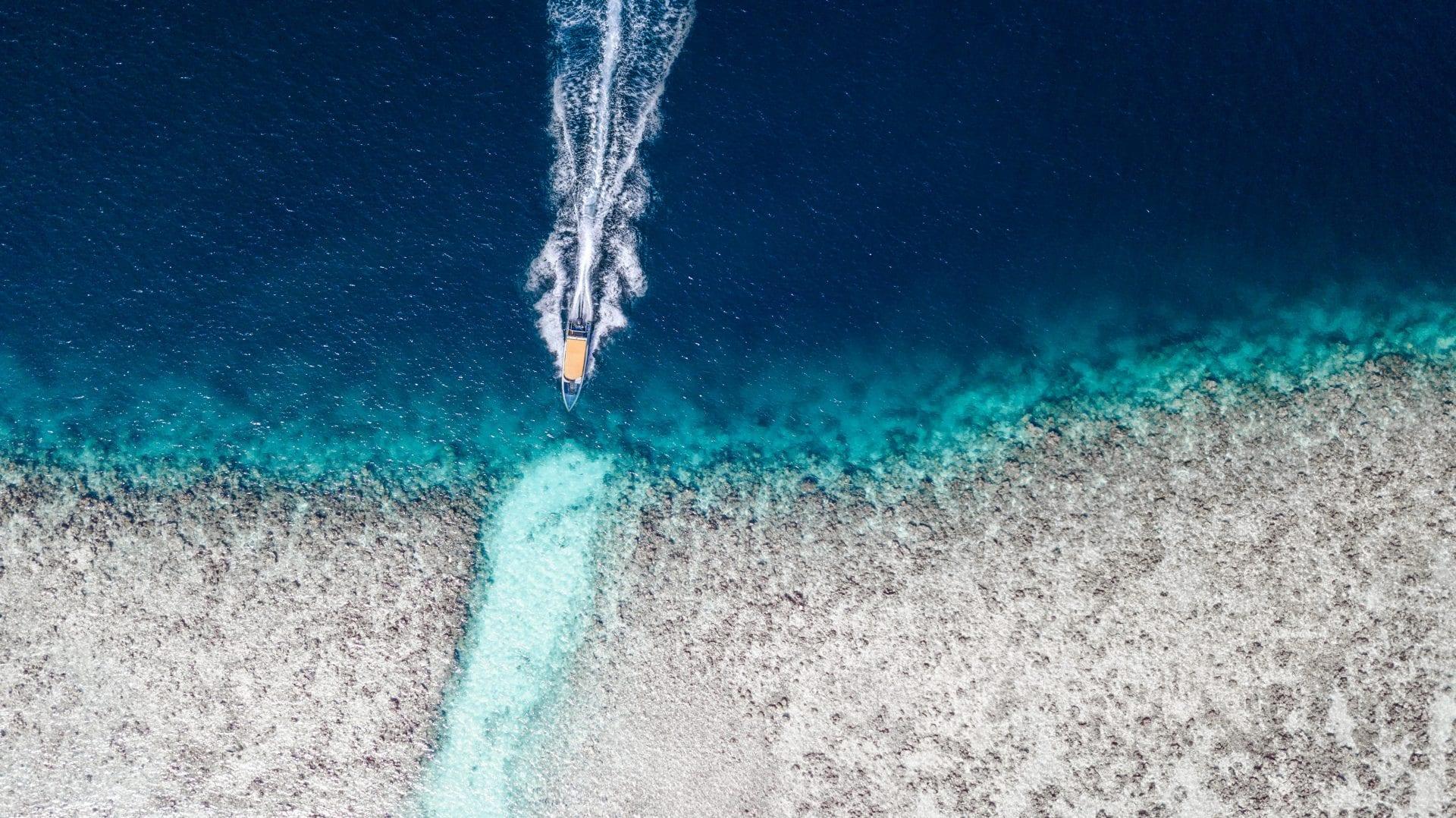 travel-trends