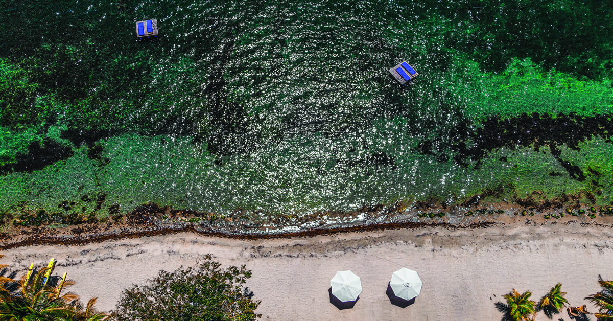 turtle-inn-belize