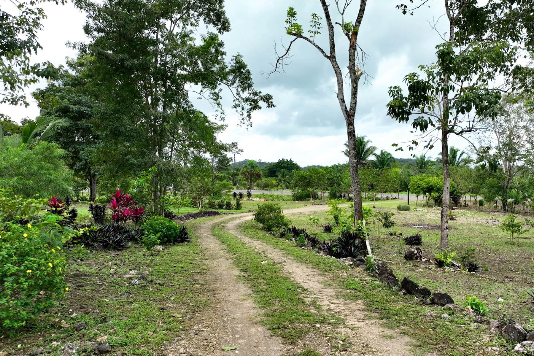 vista-220Acre20Hummingbird20Highway20Lot20Belmopan20Subdivision2009