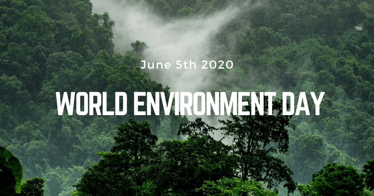 world-environment-say