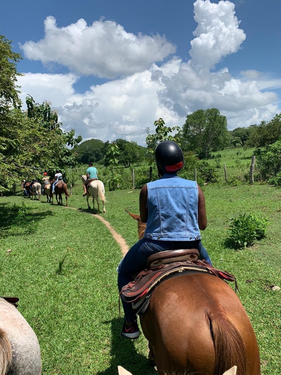 horse