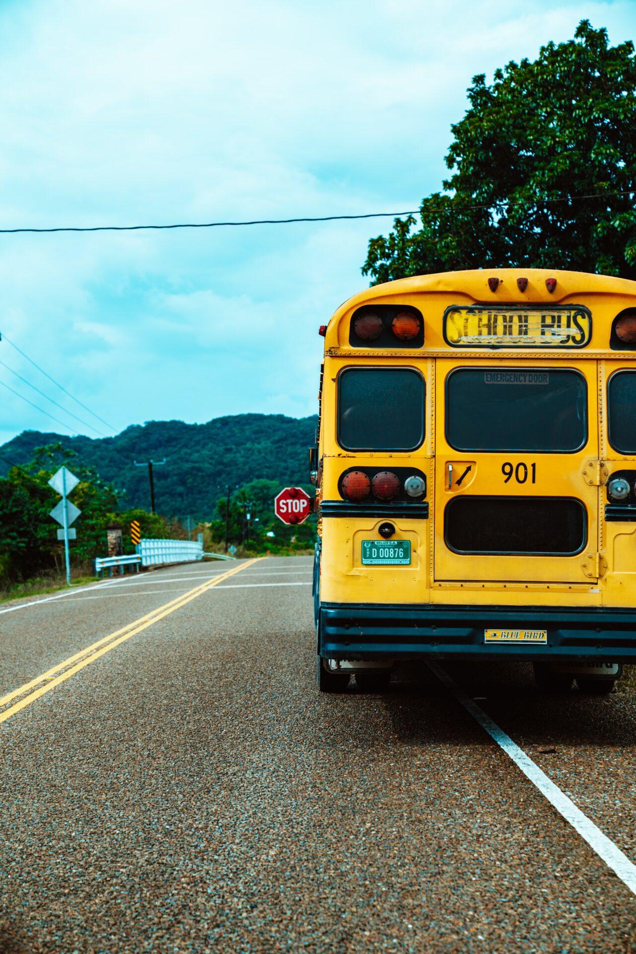 bus-transport