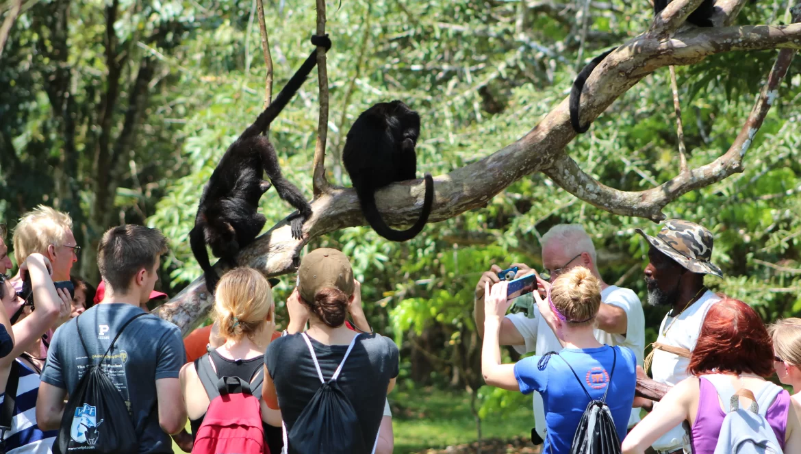 baboon-sanctuary-students-via-animal-wildlife-clinic-1170x663